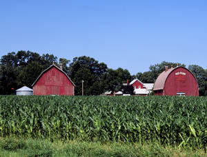Minnesota Farm by Carol Highsmith, 2025.