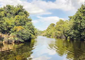 Bayou Manchac, Louisiana.