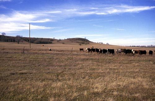 Bender Mounds, Kansas by Kathy Alexander.