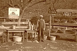 Virginia - Cider Stand, by Arthur Rothstein, 1935.