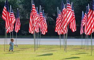 American flags on 9-11 anniversary by David Fisk. American flags on 9-11 anniversary by David Fisk.