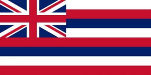 State Flag of Hawaii.