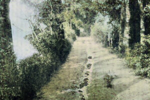 James Barnes Murder Site.