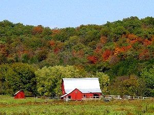 Beautiful Fall Foliage along Highway MO19 near Hermann, Missouri, by Kathy Alexander.