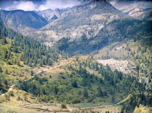 Camp Bird Mine Road, near Ouray, Colorado by Russell Lee, 1940.