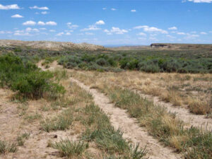 Overland Trail.