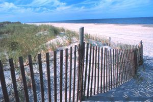 Rehoboth Beach Delaware William Folsom-noaa