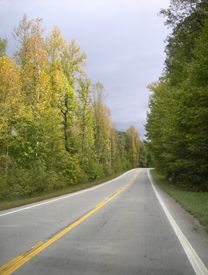 Scenic 7 Byway in Arkansas, Kathy Alexander. Scenic 7 Byway in Arkansas, Kathy Weiser