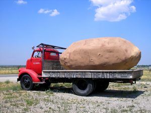 Spud Drive-In Potato in Idaho