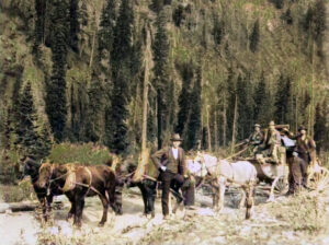 Stagecoach near Ouray, Colorado.