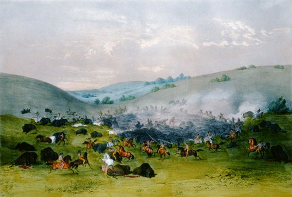 Surrounding the buffalo herd