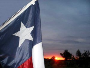 Texas Flag