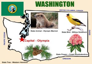 Washington Map