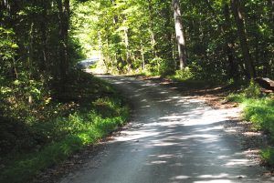 Wilderness Road north of London, Kentucky, by Kathy Alexander. Wilderness Road north of London, Kentucky, by Kathy Alexander.